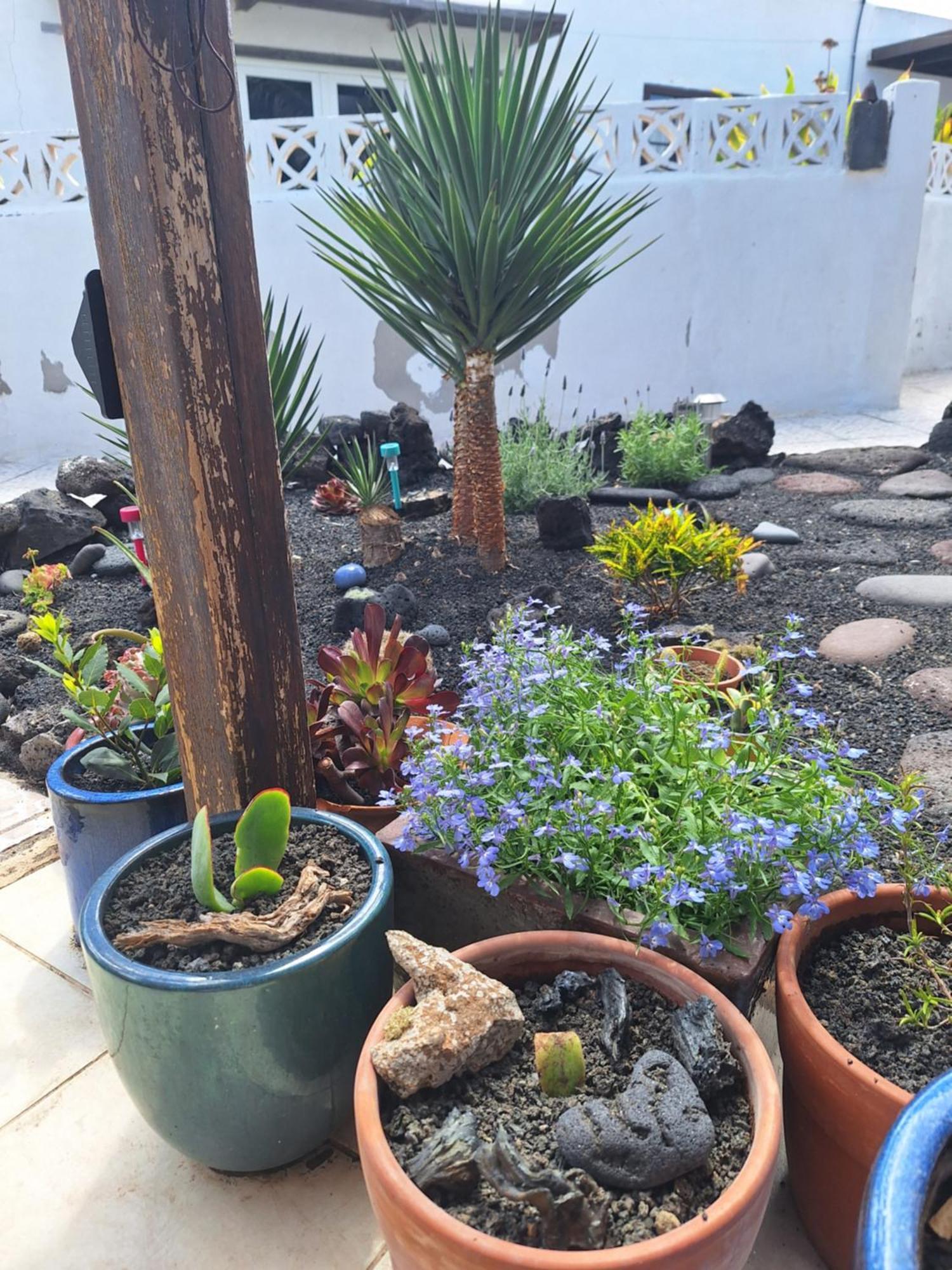 Villa Casita Pequena Lanzarote Teguise  Exterior foto